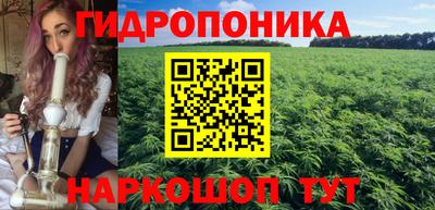 дживик Боровичи